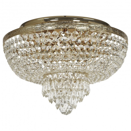 Потолочная люстра Arti Lampadari Camomilla Camomilla LE 1.2.40.501 G. Фото №1