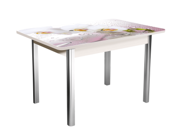 Стол Победа 1200 не раздвиждной. Фото