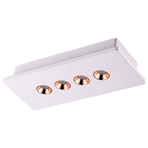 Накладной светильник Novotech Caro 357941 фото Накладной светильник Novotech Caro 357941. Фото №1