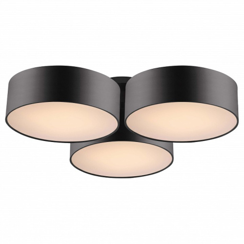 Потолочная люстра Favourite Cerchi 1514-6C. Фото №1