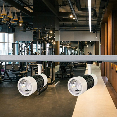 Светильник на штанге Novotech Pine 357566. Фото