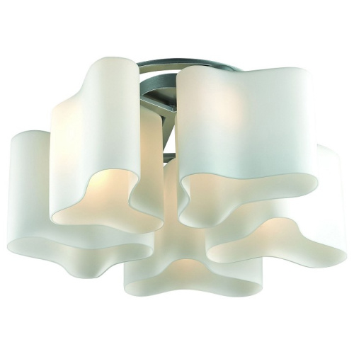 Потолочная люстра ST-Luce Onde 2 SL118.502.05. Фото №1