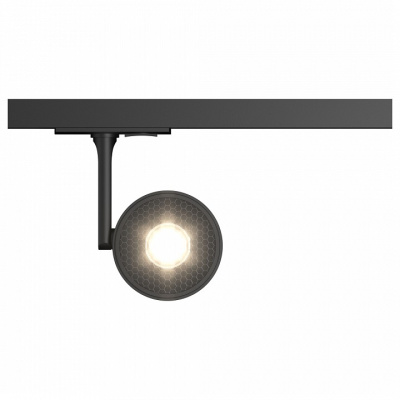 Светильник на штанге Maytoni Track lamps 1 TR024-1-10B3K. Фото