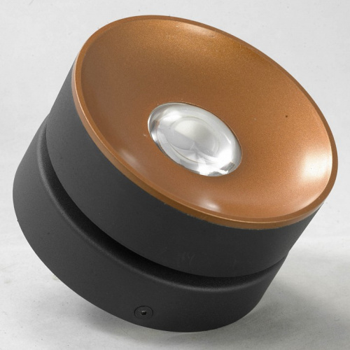 Спот Lussole Juneau LSP-8017. Фото №2