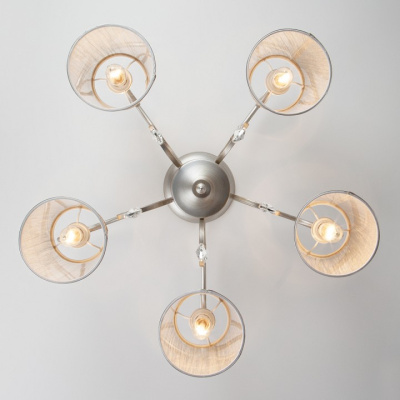 Потолочная люстра Eurosvet Liona 60065/5 серебро. Фото №2